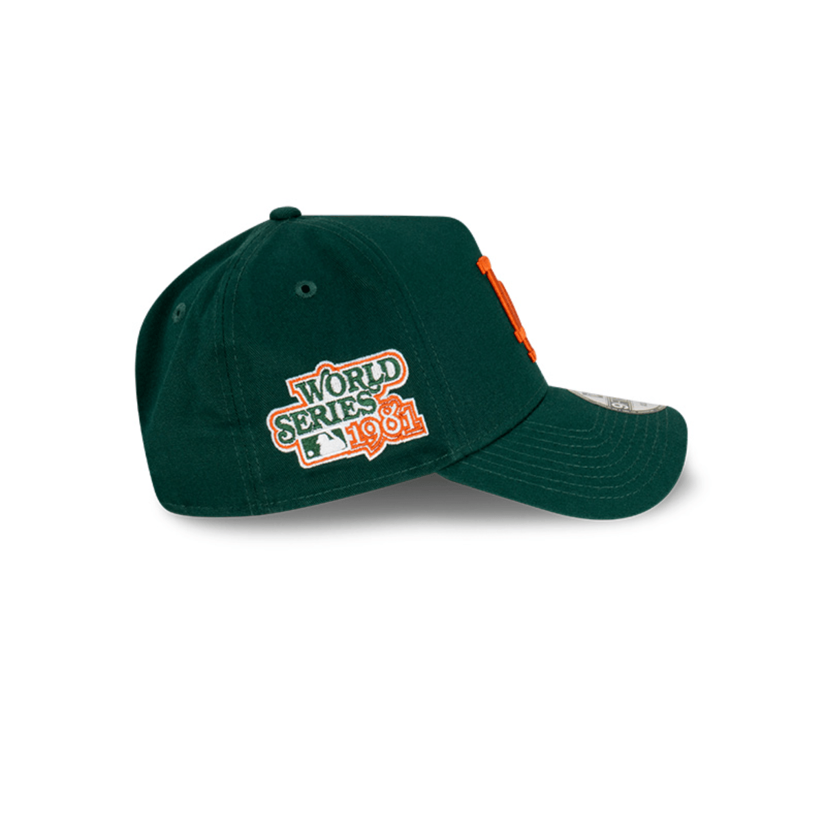 Product 6